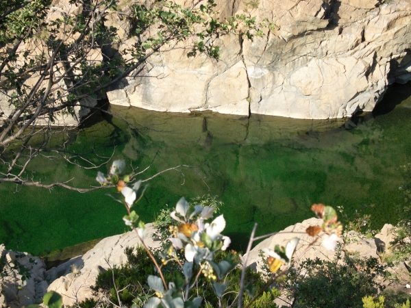 LE ACQUE SMERALDINE DEL GORZENTE.jpg